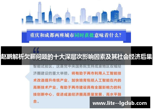 赵鹏解析欠薪问题的十大深层次影响因素及其社会经济后果
