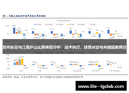 苏州东吴与江西庐山比赛表现分析：战术执行、球员状态与关键因素探讨